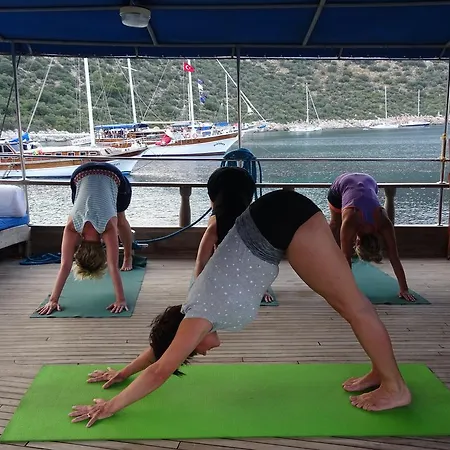 Seaborn Legend Yoga Cruise *