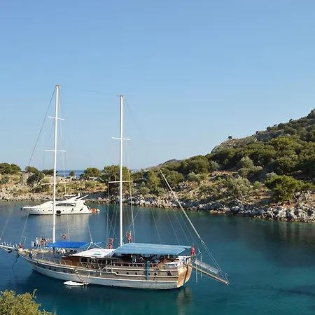 Seaborn Legend Yoga Cruise