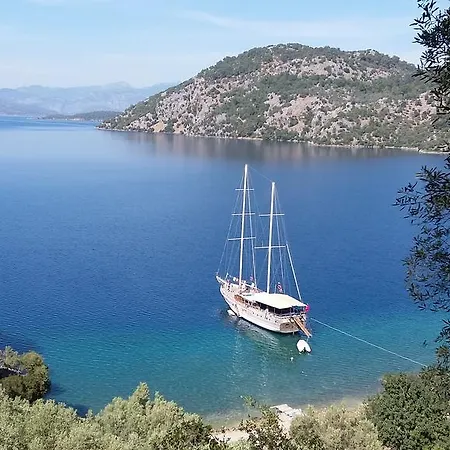 Seaborn Legend Yoga Cruise  *