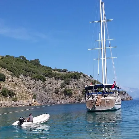Seaborn Legend Yoga Cruise  *