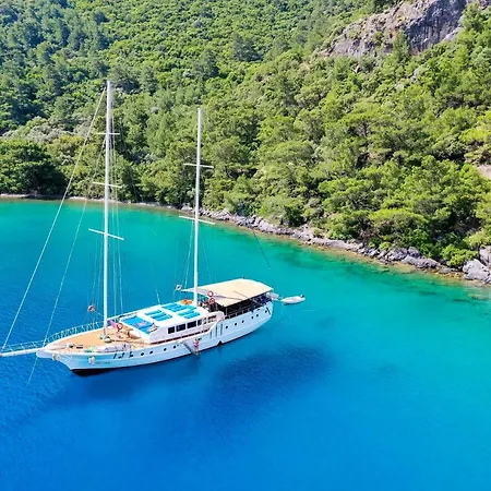 Seaborn Legend Yoga Cruise  *